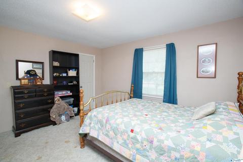 593 W Point Loop Rd, Somerville, AL 35670 photo 9