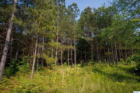 593 W Point Loop Rd, Somerville, AL 35670 photo 17