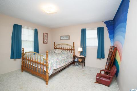 593 W Point Loop Rd, Somerville, AL 35670 photo 10