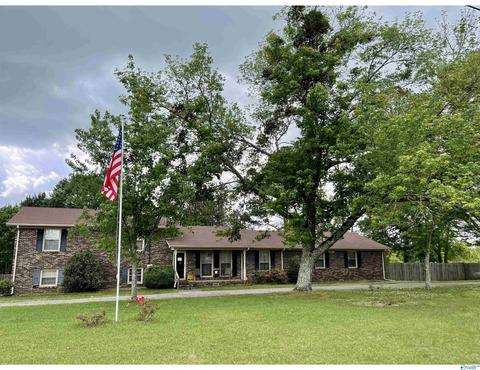 593 W Point Loop Rd, Somerville, AL 35670 photo 1