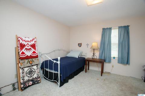 593 W Point Loop Rd, Somerville, AL 35670 photo 8