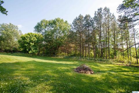 593 W Point Loop Rd, Somerville, AL 35670 photo 18