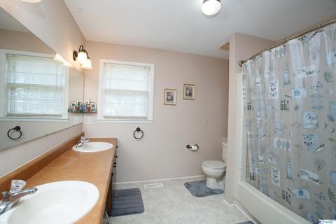 593 W Point Loop Rd, Somerville, AL 35670 photo 11