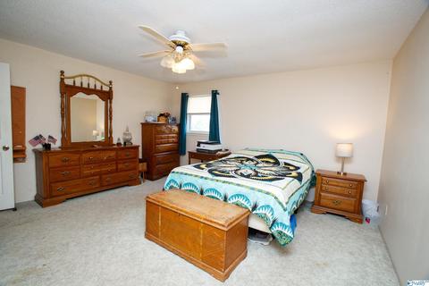 593 W Point Loop Rd, Somerville, AL 35670 photo 7
