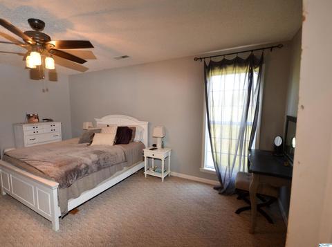 92 County Road 358, Trinity, AL 35673 photo 15
