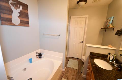 92 County Road 358, Trinity, AL 35673 photo 19