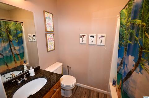 92 County Road 358, Trinity, AL 35673 photo 24