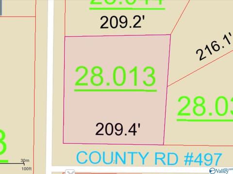92 County Road 358, Trinity, AL 35673 photo 28