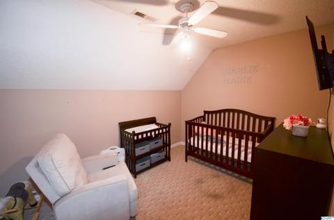 92 County Road 358, Trinity, AL 35673 photo 25