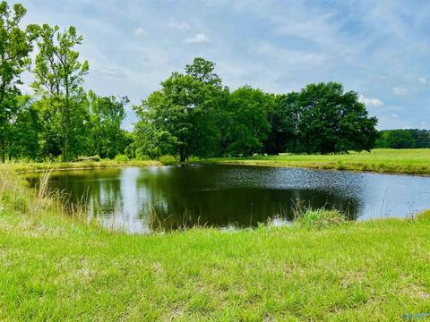 408 County Road 317, Trinity, AL 35673 photo 4