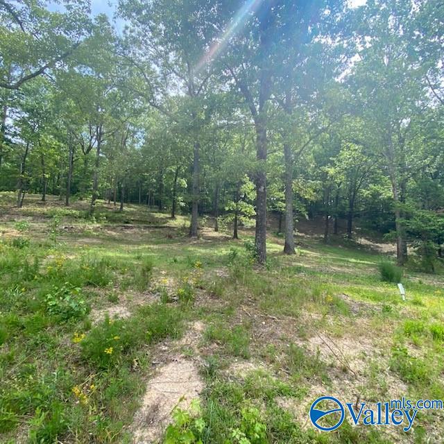 4070 Highway 273 Unit 14  
