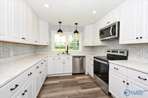 1010 County Road 301, Trinity, AL 35673 photo 7