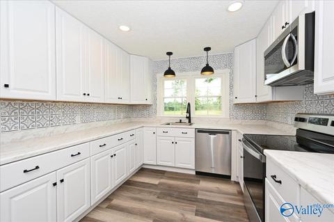 1010 County Road 301, Trinity, AL 35673 photo 6