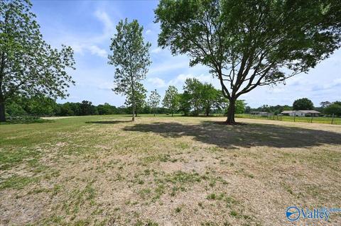 1010 County Road 301, Trinity, AL 35673 photo 16