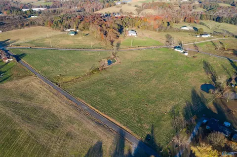 560 County Road 1663, Cullman, AL 35058 photo 3