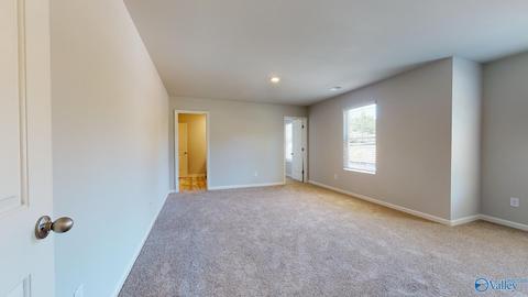 307 8th St NW, Arab, AL 35016 photo 11