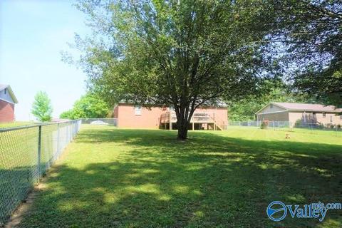 19 Baileyton Rd, Joppa, AL 35087 photo 5