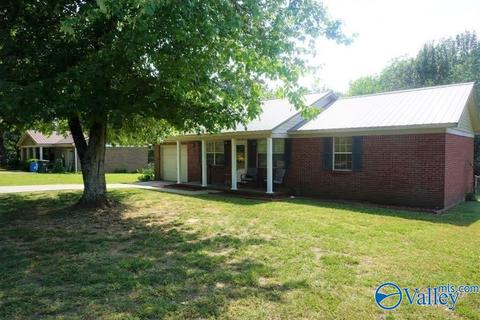 19 Baileyton Rd, Joppa, AL 35087 photo 1