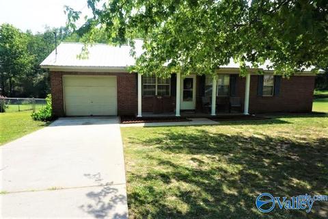 19 Baileyton Rd, Joppa, AL 35087 photo 29