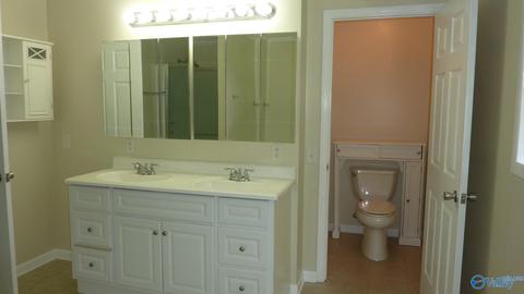 595 Mobbs School Rd, Arab, AL 35016 photo 19