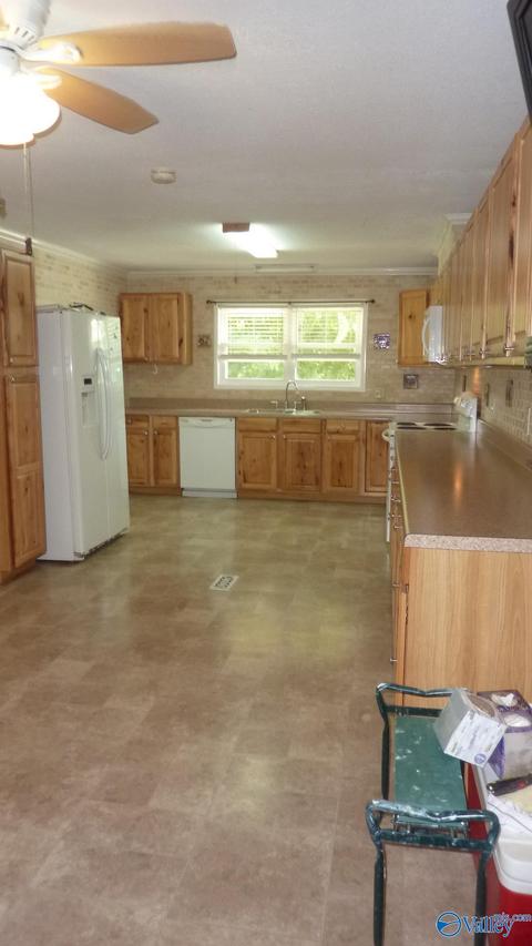 595 Mobbs School Rd, Arab, AL 35016 photo 9