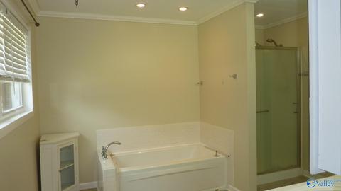 595 Mobbs School Rd, Arab, AL 35016 photo 20