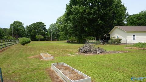 595 Mobbs School Rd, Arab, AL 35016 photo 33