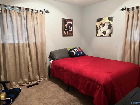 95 N Seneca Dr, Trinity, AL 35673 photo 18