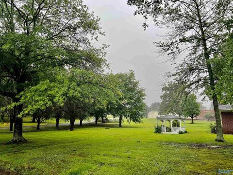95 N Seneca Dr, Trinity, AL 35673 photo 26