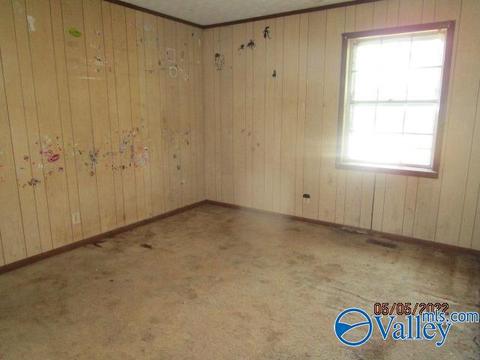 13 Pine St, Steele, AL 35987 photo 11
