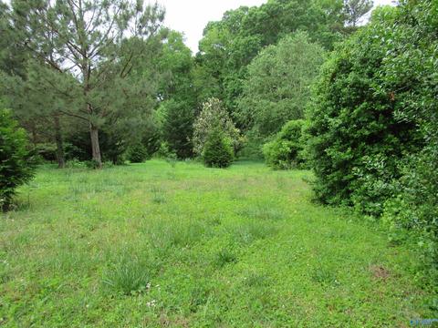 847 3rd Ave, Arab, AL 35016 photo 8