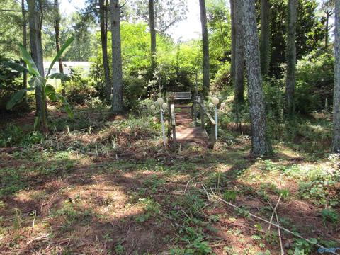 847 3rd Ave, Arab, AL 35016 photo 6