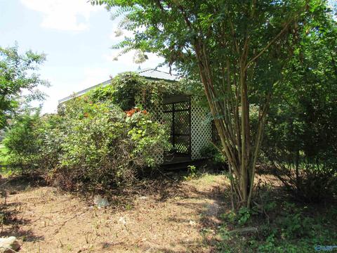 847 3rd Ave, Arab, AL 35016 photo 22