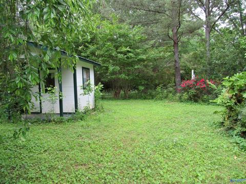 847 3rd Ave, Arab, AL 35016 photo 4