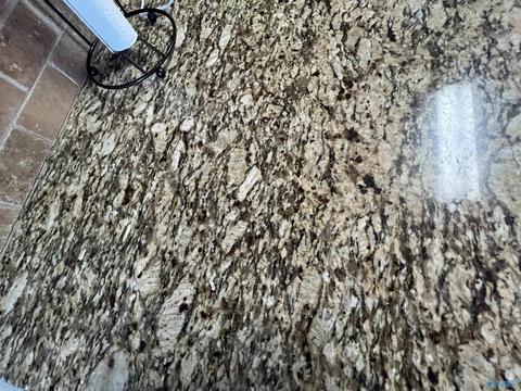 66 Huntscliff Dr, Trinity, AL 35673 photo 23
