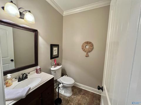 66 Huntscliff Dr, Trinity, AL 35673 photo 29