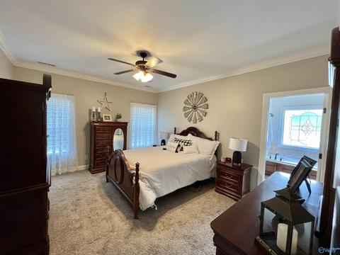 66 Huntscliff Dr, Trinity, AL 35673 photo 9