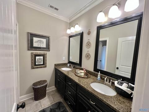 66 Huntscliff Dr, Trinity, AL 35673 photo 27