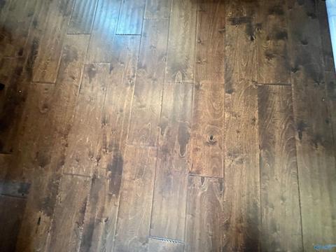 66 Huntscliff Dr, Trinity, AL 35673 photo 5