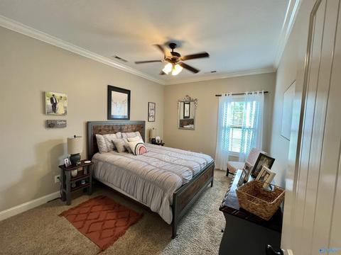 66 Huntscliff Dr, Trinity, AL 35673 photo 26