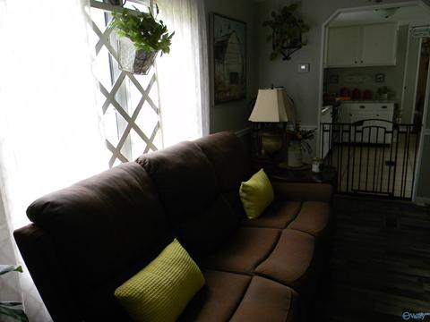 3450 Armstrong Rd, Cedar Bluff, AL 35959 photo 8
