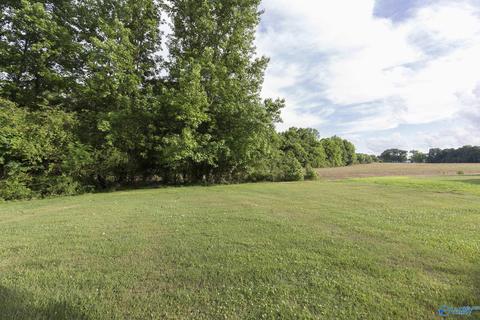 151 Executive Dr, Arab, AL 35016 photo 22