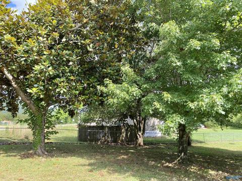 1778 Cherry Tree Rd, Gurley, AL 35748 photo 30
