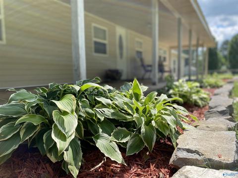 1778 Cherry Tree Rd, Gurley, AL 35748 photo 4