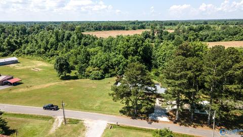 421 County Road 408, Dutton, AL 35744 photo 24