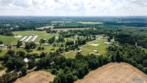 421 County Road 408, Dutton, AL 35744 photo 30