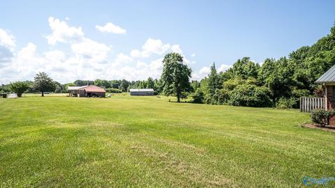 421 County Road 408, Dutton, AL 35744 photo 13