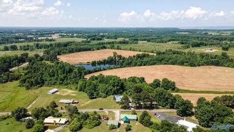 421 County Road 408, Dutton, AL 35744 photo 29