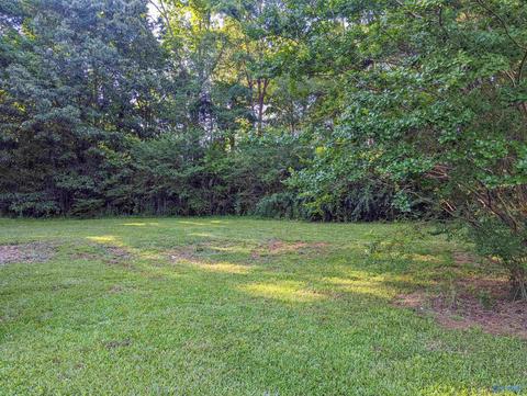 2425 Pope Ave, Steele, AL 35987 photo 23