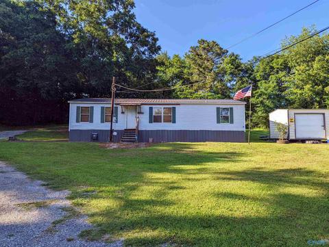 2425 Pope Ave, Steele, AL 35987 photo 1